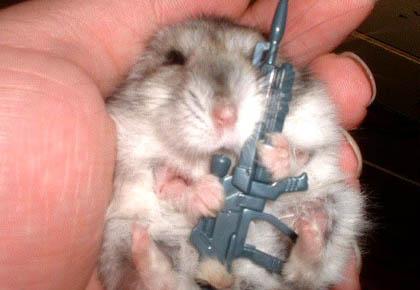 Best Sniper.jpg