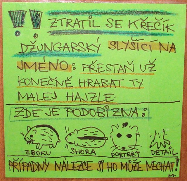Detailny opis.JPG